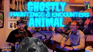 Ghostly Animal Hauntings and Encounters!