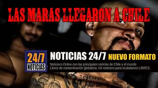 Las Maras llegaron a Chile - Noticias 24/7