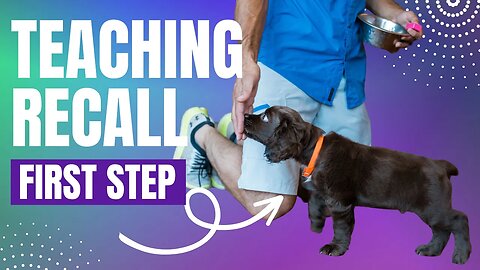 Teach Your Dog To Come Back To You - First Step IS Targeting