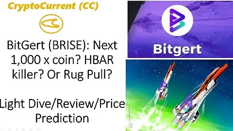 Bitgert (BRISE). Light Dive/Review/Price Predictions