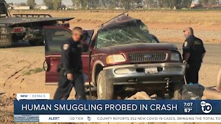 Human smuggling probed in Imperial County crash