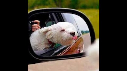 Ready for a ride on a Harley Davidson!