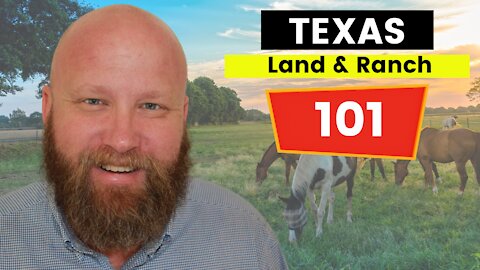 Texas Ranch Land 101 | A Beginner's Guide in Buying Ranch Land