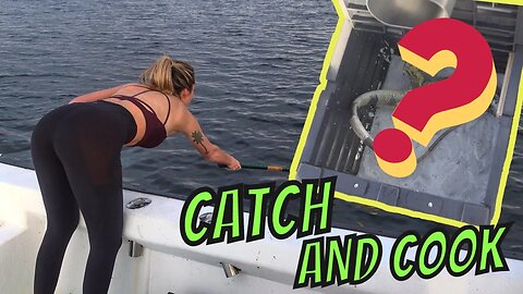 FIRST TIME EVER catching stone crabs using a CRAZY BAIT {catch and cook}