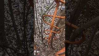 Abandoned playground