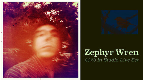 Zephyr Wren | The Sly of Hurt People | 2023 In Studio Live Set in 4K | Indie Folk Alternative Rock
