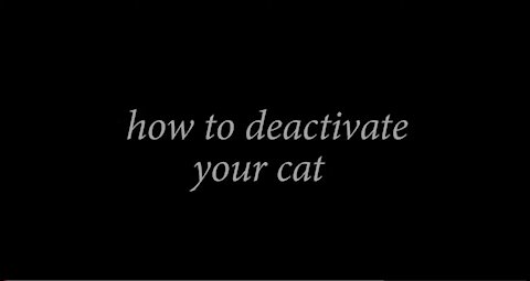 How to deactivate a Cat (Quick and easy method!)