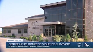 22% increase in domestic violence crisis calls during pandemic