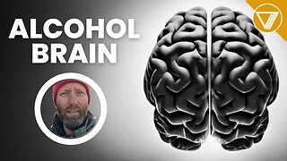 How Does Alcohol Affect The Brain And Lead To Brain Fog?