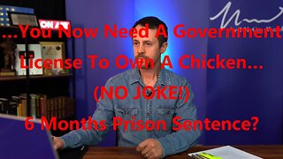 …You Now Need A Government License To Own A Chicken… (NO JOKE!) 6 Months Prison Sentence?