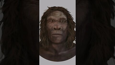 İlk Mutfak Ustaları: Homo habilis'in Et İşleme Teknikleri