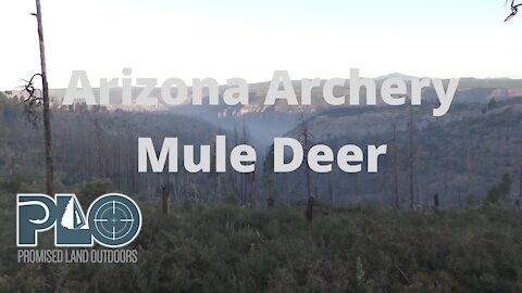 Arizona Early Archery Mule Deer Hunt