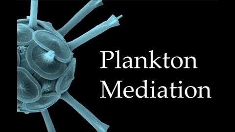 Plankton Meditation