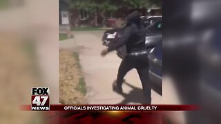 Community disturbed by cat abuse video