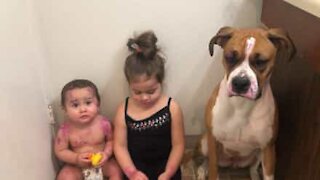 Little girl covers baby and dog with lipstick