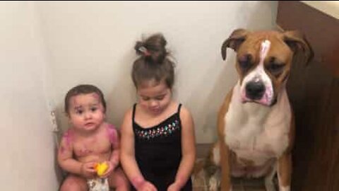 Little girl covers baby and dog with lipstick