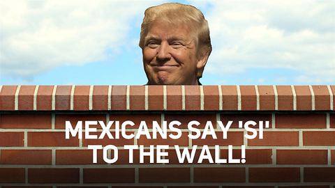 Say what? These Mexicans want to help build the wall!