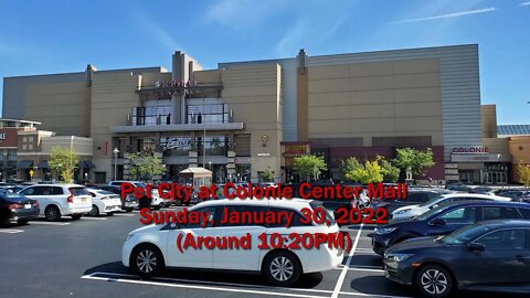 Pet City at Colonie Center Mall - January 30, 2022