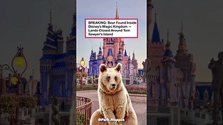 A BEAR at DISNEY? 😱