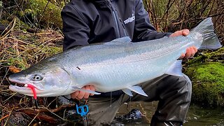 Early Winter Steelhead Gear, Tips, & Tricks!