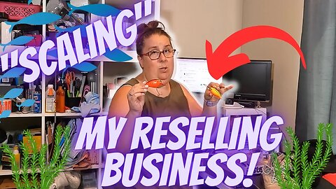 How I Scale My Reseller Business In This Market!