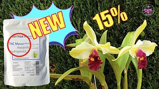 Beneficial Bacteria TNC MycorrHydro Intro to Ingredients Ep. 1 INCL. Orchid Promotion #ninjaorchids