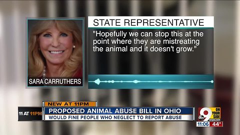 Ohio bill would require vets to report suspected animal abuse