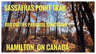 Sassafras Point, Ravine Road & Ginger Valley Trails |RBG Cootes Paradise Sanctuary | Hamilton, ON 🇨🇦