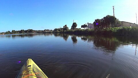 Kayak Fly Fishing Review of Twin Lakes (East) in Polk County, Florida