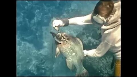 1960s Double Hose Regulator SCUBA Diver Spearfishing in Cozumel Mexico