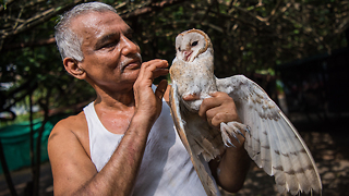 These Indian Doctors Created An Animal Ark | WILDEST ANIMAL RESCUES