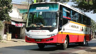 Bus Eksekutif Harapan Jaya Jurusan Blitar - Jakarta Melintas di Branggahan Kediri Jawa Timur