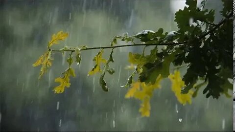 Relaxing Music & Soft Rain Sounds: Relaxing Piano Music, Sleep Music,