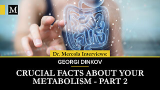 Crucial Facts About Your Metabolism, Part 2 – Interview With Georgi Dinkov