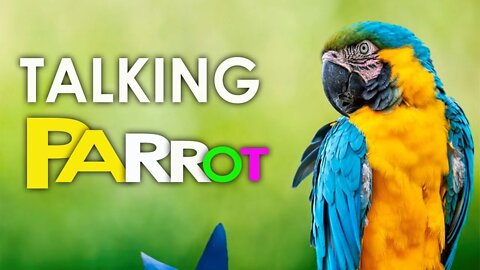 EVERYTHING YOU NEED TO KNOW ABOUT PARROTS -HD | LORIES | VASA PARROTS | GRAY AFRICAN PARROT