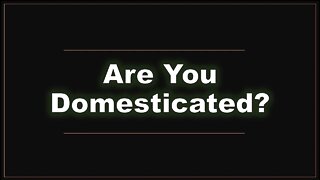 Are You Domesticated - Pastor Ben (The Lampstand - Hallettsville)