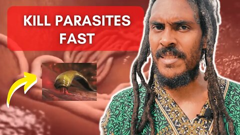 Instant Superpowers To Make Tapeworms & Pinworms Bow At Your Feet (KILL THE PARASITES FAST)