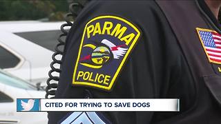 Man cited for breaking car window to rescue dogs