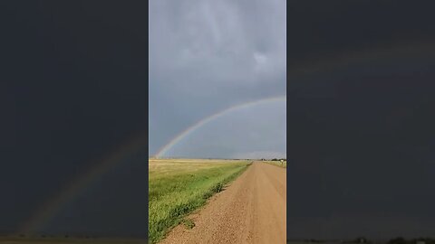 somewhere over the rainbow skies are blue!