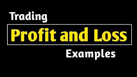 long example profit and loss/profit and loss/number/6th/hindi and english