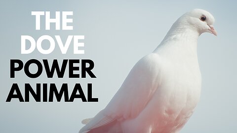 The Dove Power Animal