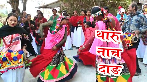 Tharu Maghauta Dance on Maghi Festival in Tulsipur City Dang District Nepal