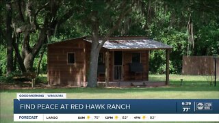 Red Hawk Ranch thrives in Wimauma