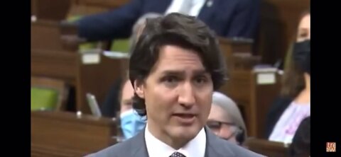 Justin Trudeau accuses Melissa Lantsman of standing with people who wave swastikas.