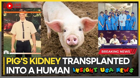 Xenotransplantation Breakthrough: Pig Kidney Successfully Transplanted into Human