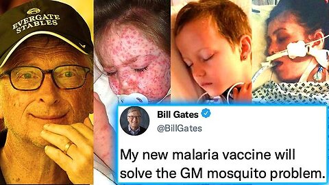 Bill Gates Admits His GM Mosquitoes Are Causing Deadly Malaria 'Virus' Outbreak in U.S.!