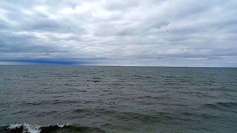 Lake Erie on an Overcast & Rather Chilly Day ~ November 7, 2023