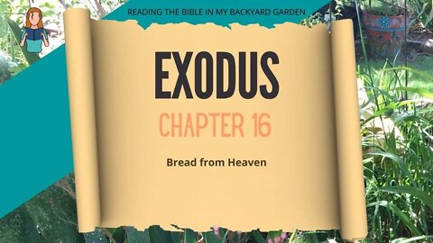 Exodus Chapter 16 | NRSV Bible | Read Aloud