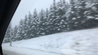 Driving in winter wonderland