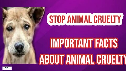 Stop Animals Cruelty Important Facts About Animals Cruelty
